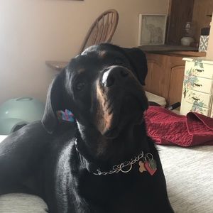 Meet your Posher, Brooke